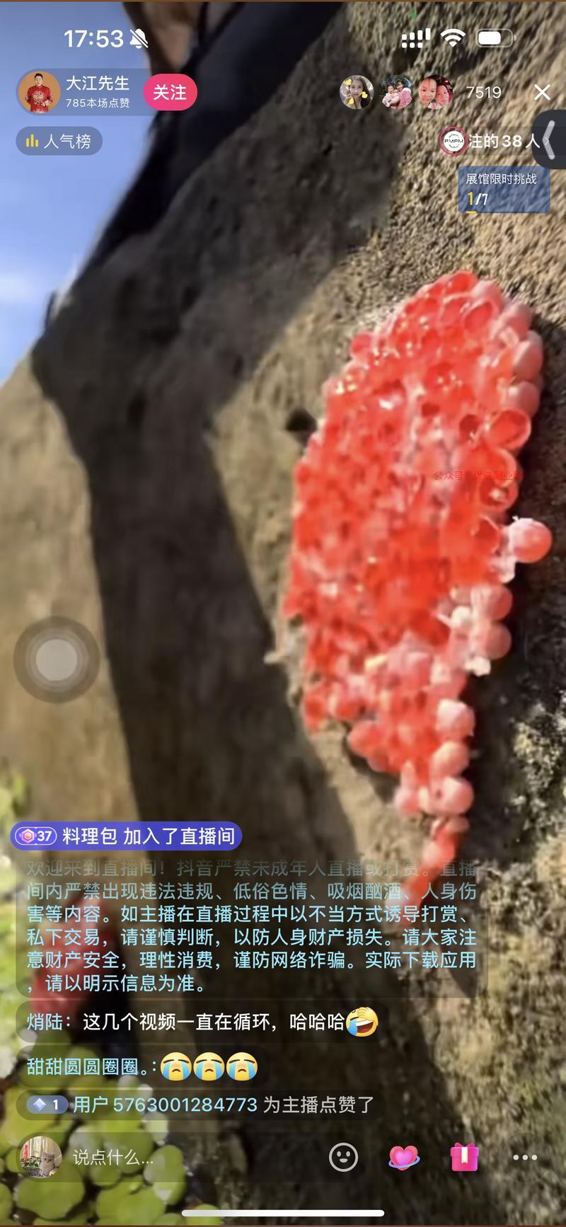 绿幕直播，画面播的是一…#情报-搞钱情报论坛-网创交流-优选副业网